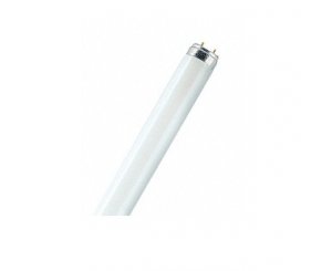 Лампа Люминесцентная 18W FL 18W/635 (42шт/уп),