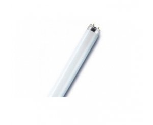Лампа Люминесцентная 18W L 18W/640 25X1 (аналог ЛБ) (osram),