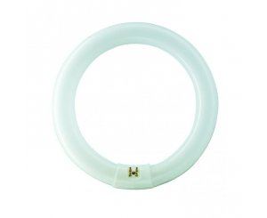 Лампа Люминесцентная 22W G10q,