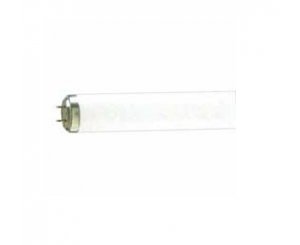Лампа Люминесцентная 36W TLD 36W-54-765 PILA (аналог ЛД),