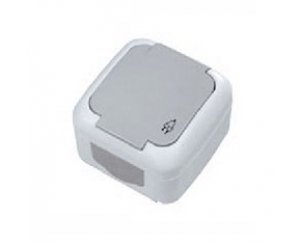 Розетка о/п 1-м бр./защ. с з/к IP54 с крышкой серая,